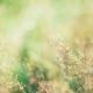 ...Can_kIRIkLARIm...