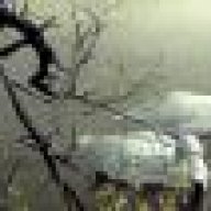 Renklerin Türküsü