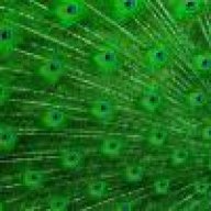 nesebarutcu@gmail.com