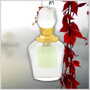 aa