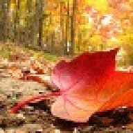 autumn13