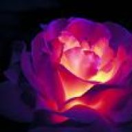 C@rpe-Noctem"