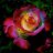 DOLUNAY__